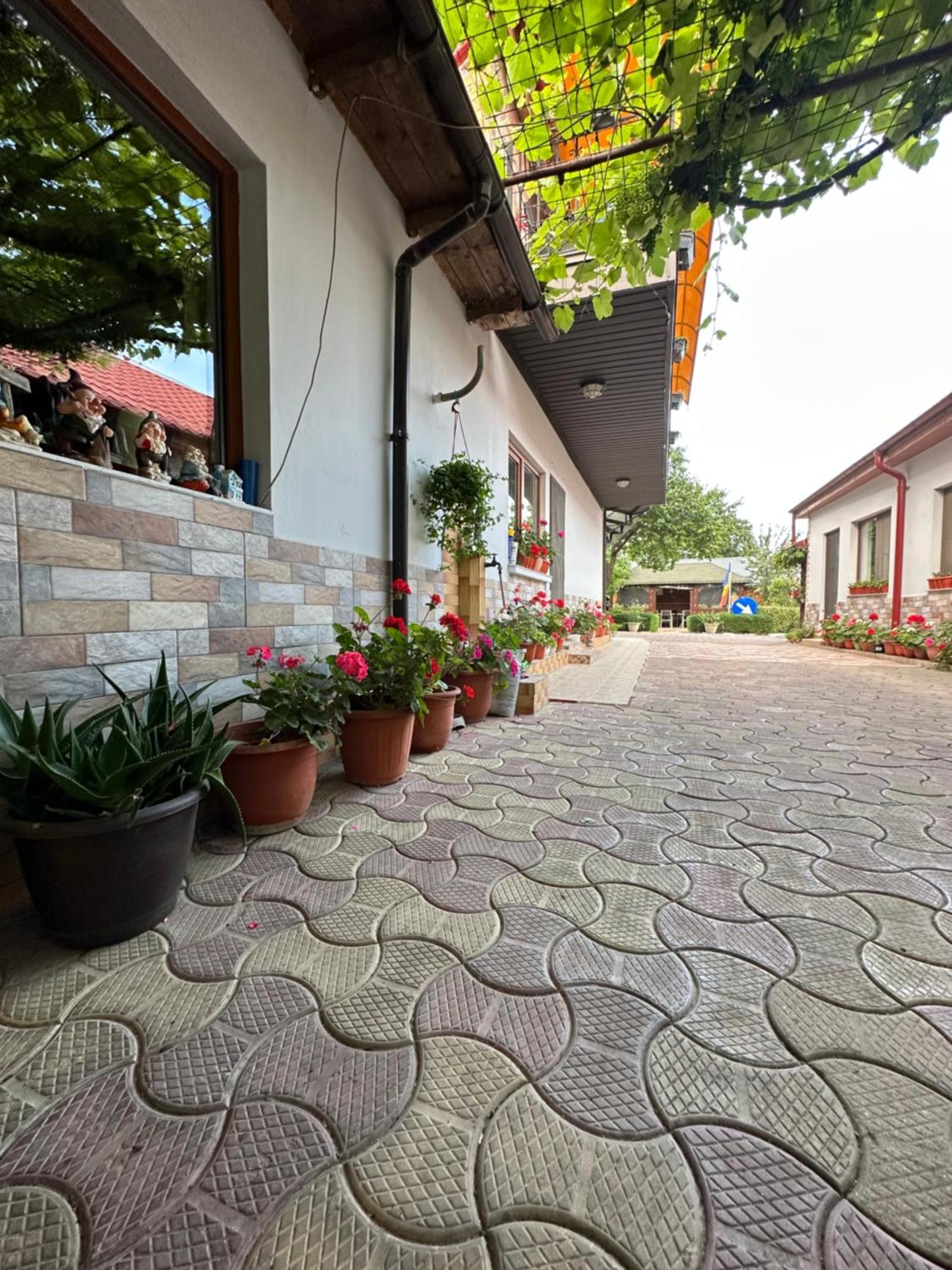 Casa Cu Flori Corbu Hotel Corbu  Kültér fotó
